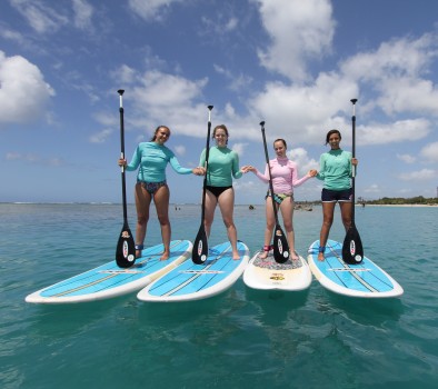 explore the marine environment with a stand up paddle board